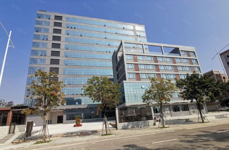 虎门镇新出全新标准厂房一楼