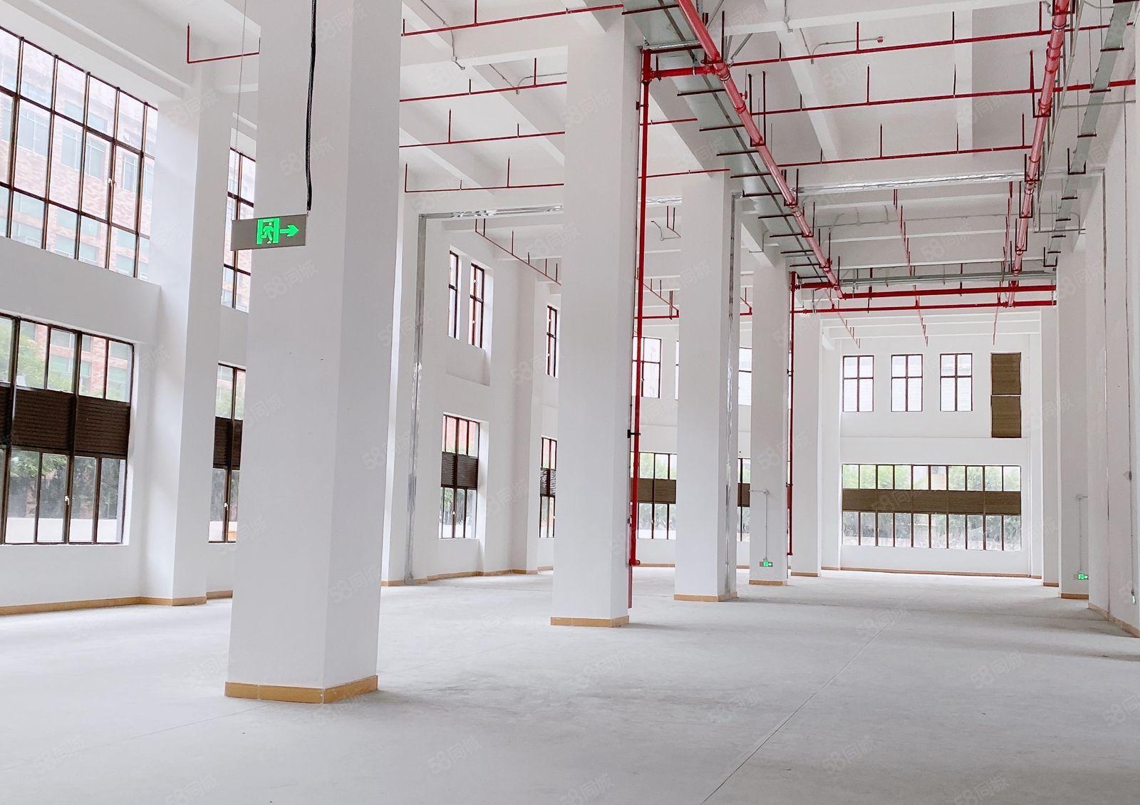 虎门新出原房东独门独院全新重工业厂房滴水10米空地大