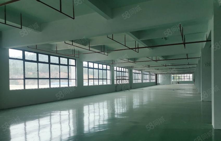 虎门东风社区厂房出租，房东直租，每层650平方