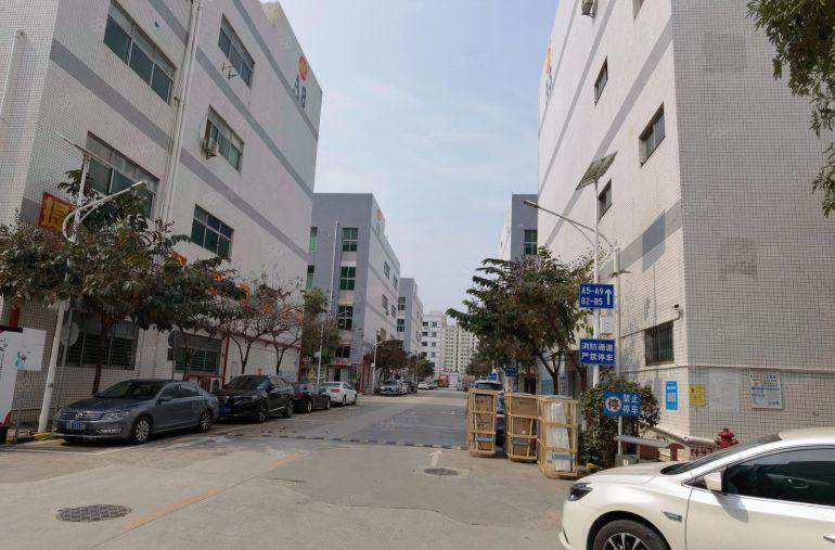 300起分租虎门龙眼3万平园区厂房仓库出租一楼18元楼上9元