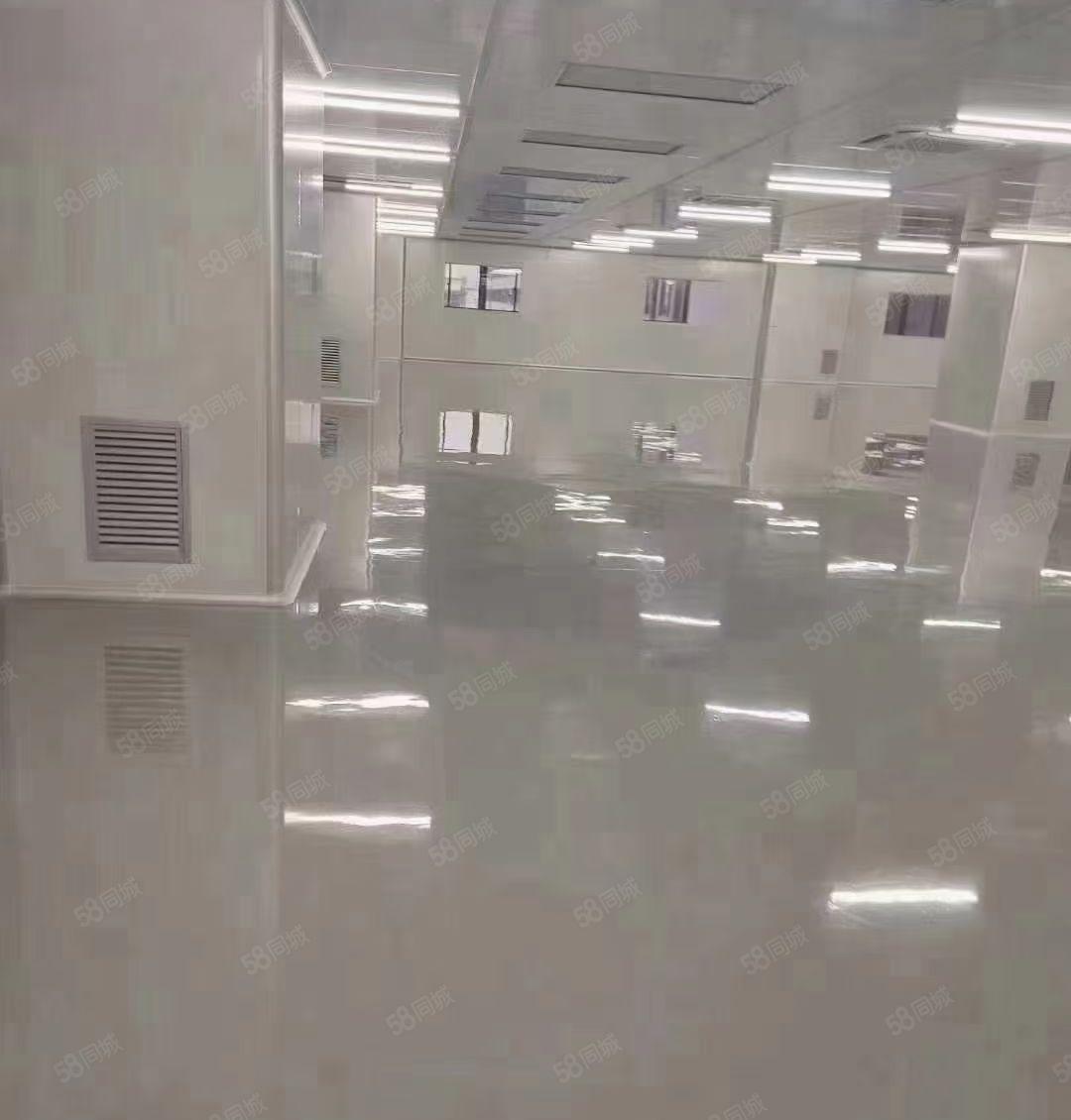 虎门镇北栅原房东三楼整层无尘车间4500平方厂房出租可以分租