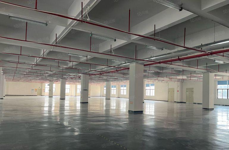 电商云仓行业福音花园式厂房领包入住