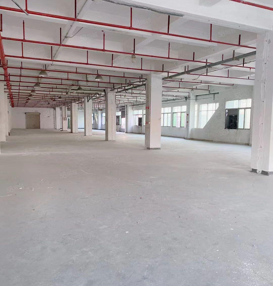 龙眼工业园区新出一三整层6米高带消防喷淋
