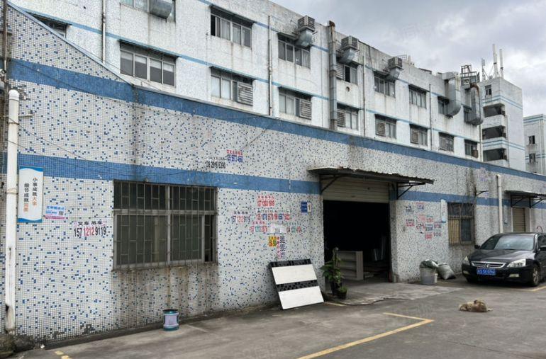 虎门新空独院单一层砖墙到顶厂房600平，带隔热现在办公水电线