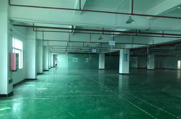 虎门镇怀德800平 带精装修厂房 有地坪漆办公室 园区形象好