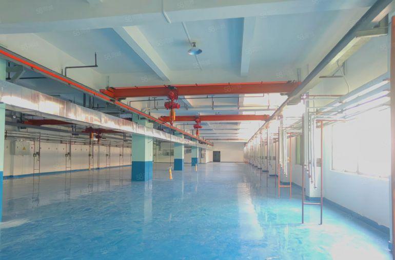 原房东现成装修全新地坪漆现成航吊空地大好停车临近沿江高速环莞