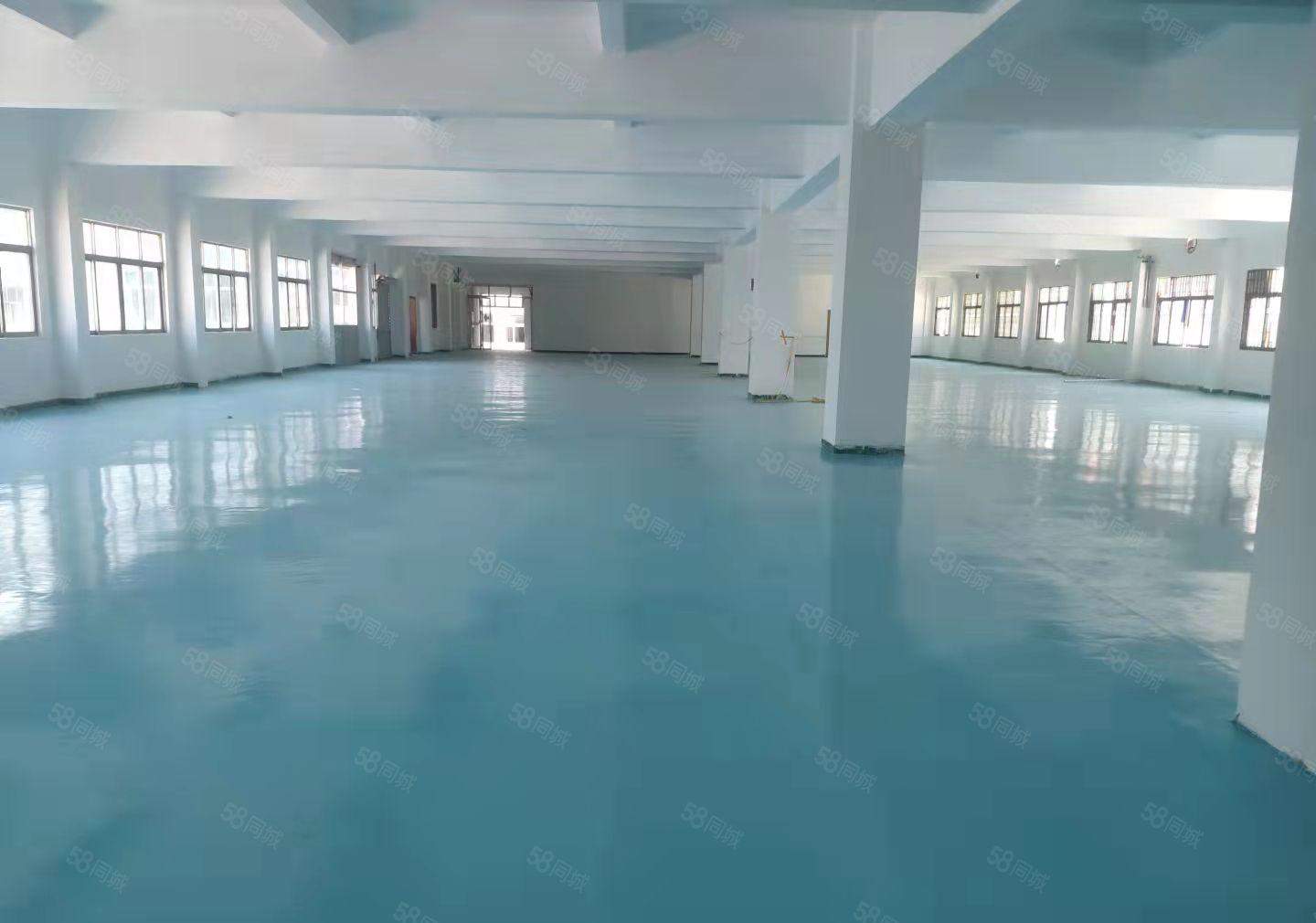 虎门南栅五区新空出2楼2000平现成精装修厂房出租