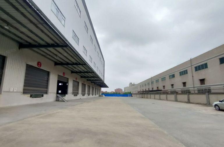 电商仓库，虎门高速口全新钢构仓库出租，带卸货平台，带消防喷淋