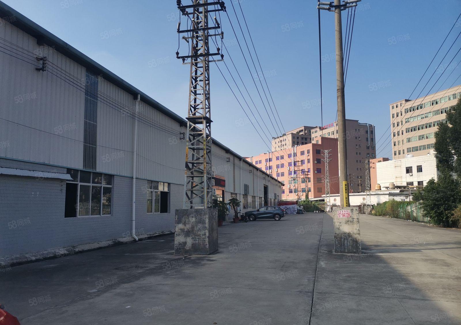 南栅四区独院单一层厂房2500平  滴水8米，办公室装修