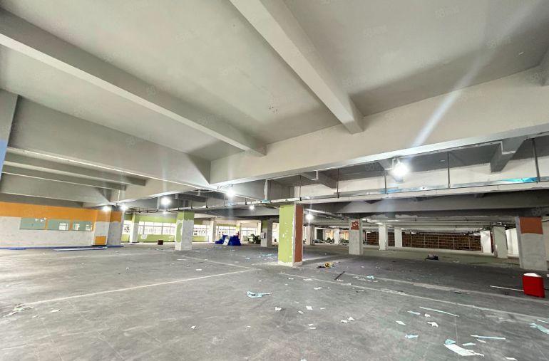 虎门厂房出租合适电商仓库服装行业带有消防喷淋3吨电梯好招工