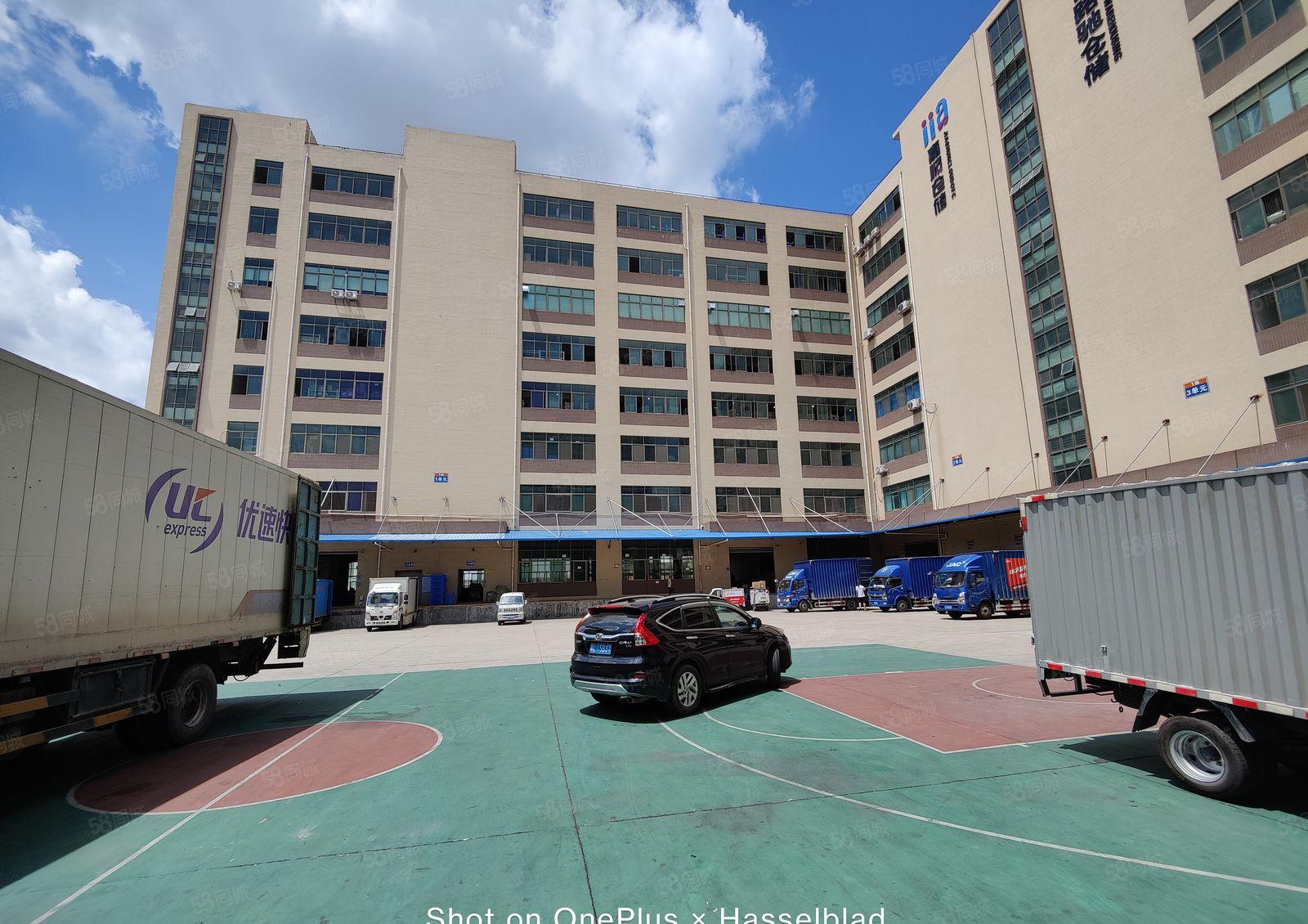 500起虎门临深2万平物流园仓库厂房出租标准卸货平台超大空地