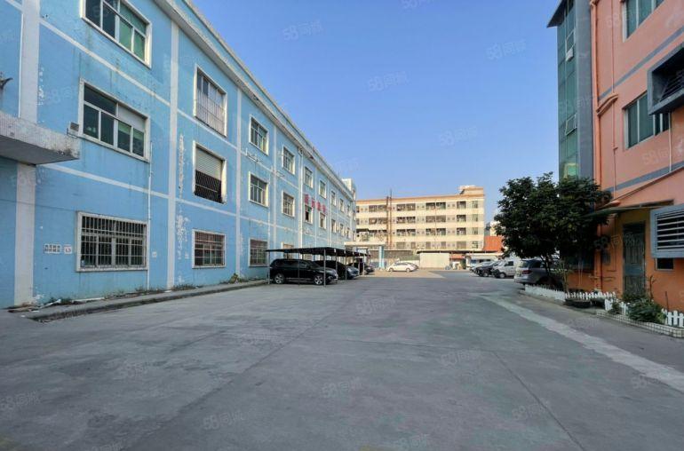 虎门标准一楼厂房出租1380平方带办公室园区空地大工业用地