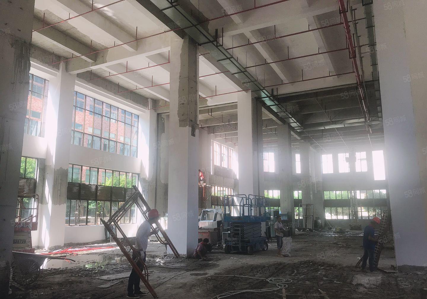 虎门镇怀德社区原房东新建独院厂房30000平方厂房出租可分租