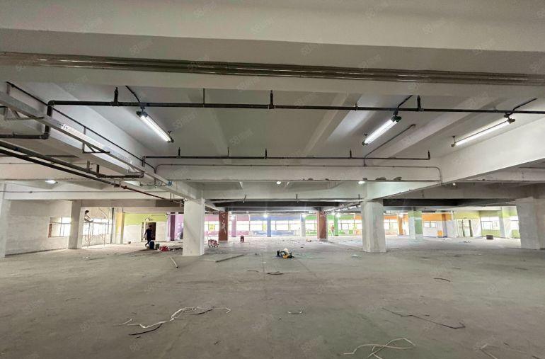 虎门厂房出租合适电商仓库服装行业带有消防喷淋3吨电梯好招工