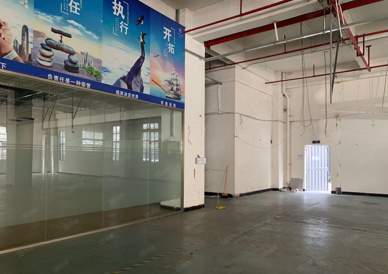 虎门龙眼新出一楼1450平6米高非常适合注塑行业 配电大