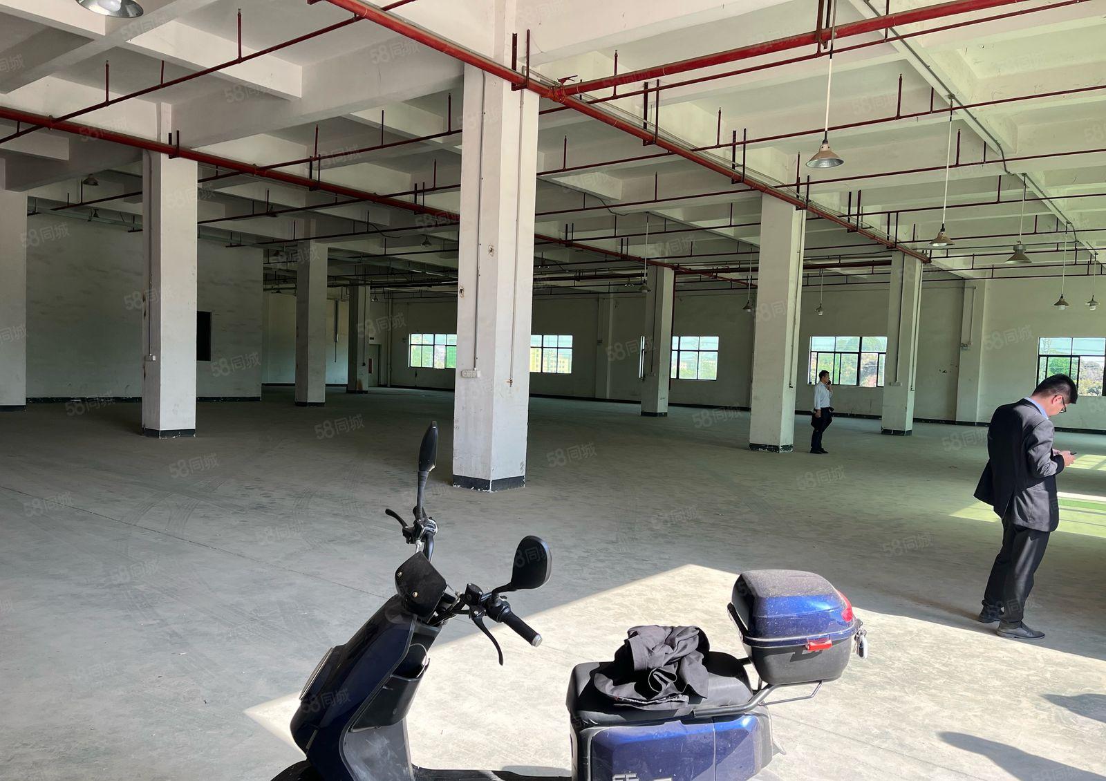 大岭山新出原房东标准厂房13层一楼高度6米空地超大可办环评