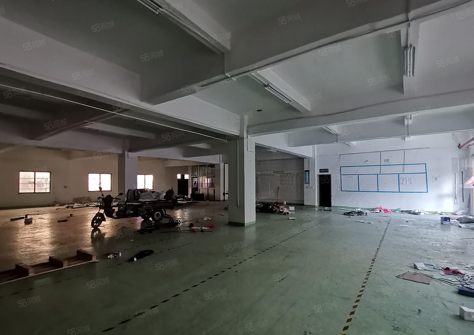 虎门龙眼园区1楼1000平 2楼1000平带装修 空地大