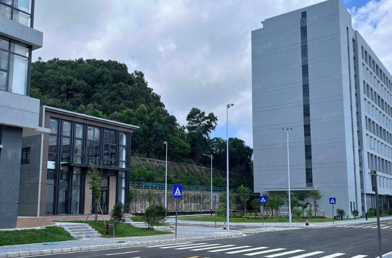 虎门新建花园式厂房招租！可分租1000平，价格便宜