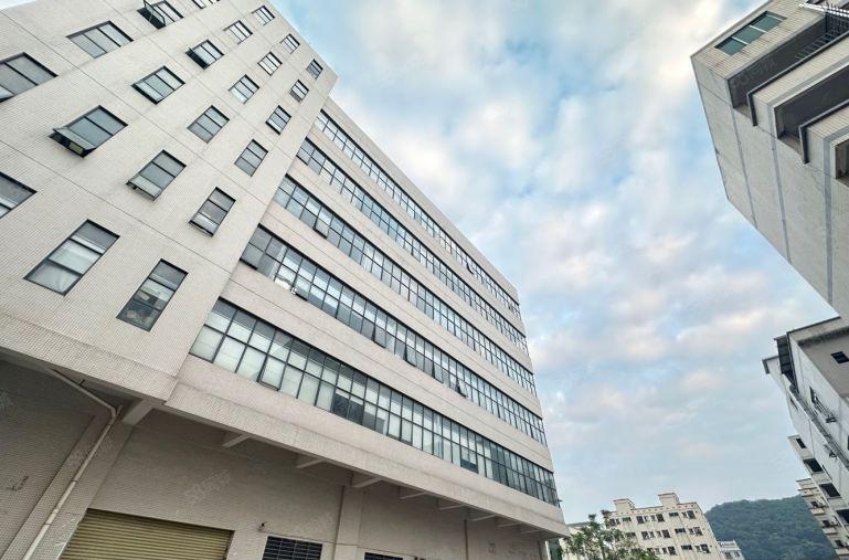 虎门树田树安路原房东独门独院厂房出租