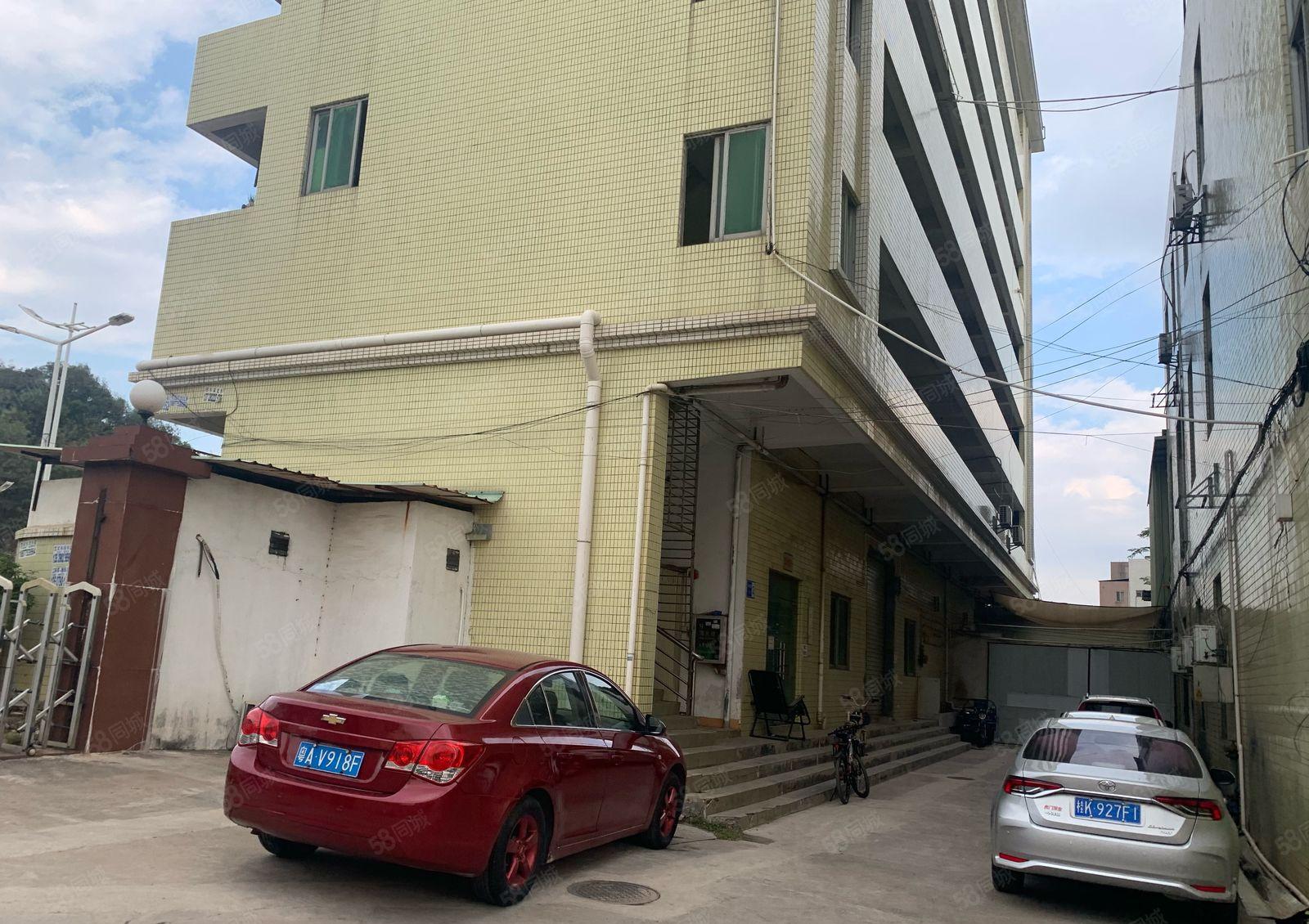 虎门路东10元厂房招租特价带装修2100平米