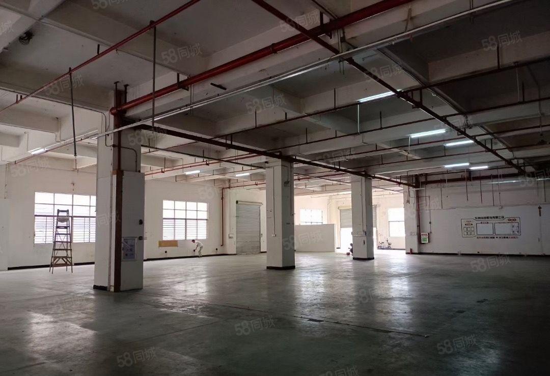 龙眼11路新出一个7米高一楼1470平带装修出租可分租