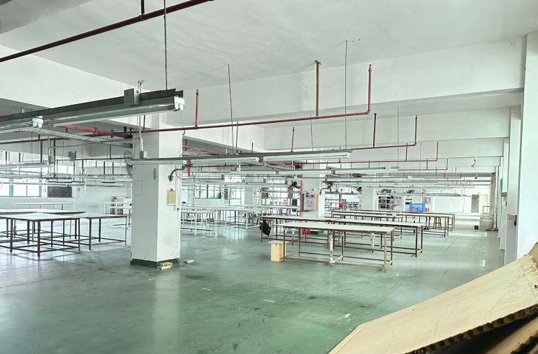 虎门赤岗原房东独门独院花园式厂房出租，空地大，易招工