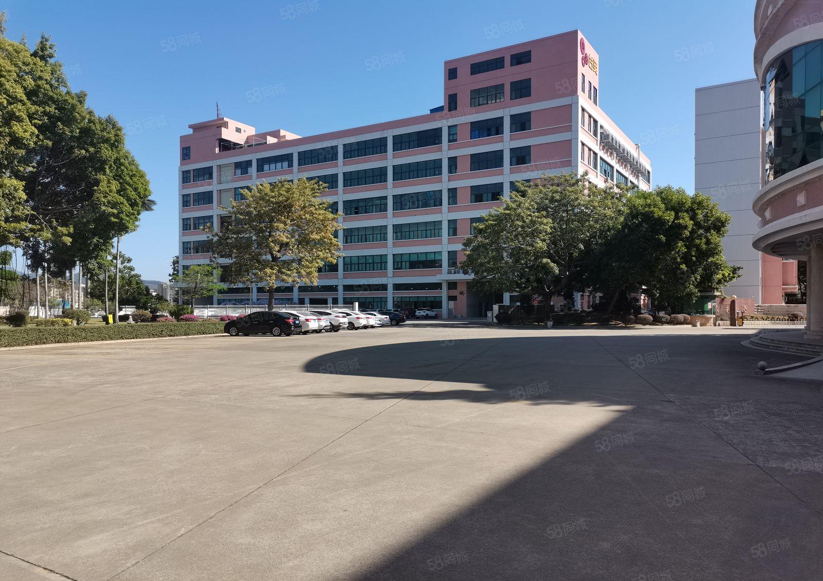 虎门镇树田社区原房东独院花园厂房二楼1000平分租 可办环坪