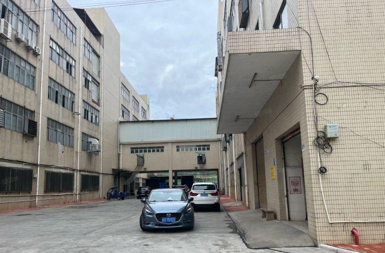 原房东实际面积出租一楼水电齐全价格实惠