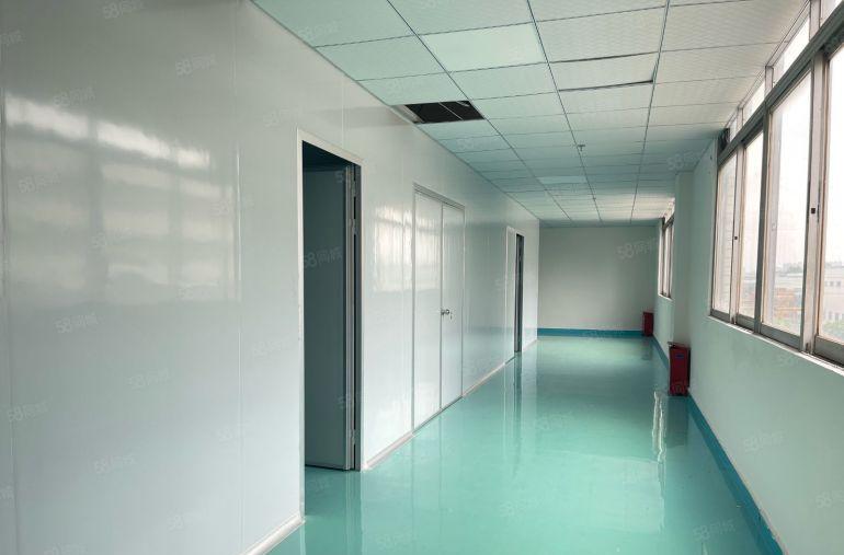 虎门原房东独栋现成无尘车间1350平厂房出租 精装修实际面积