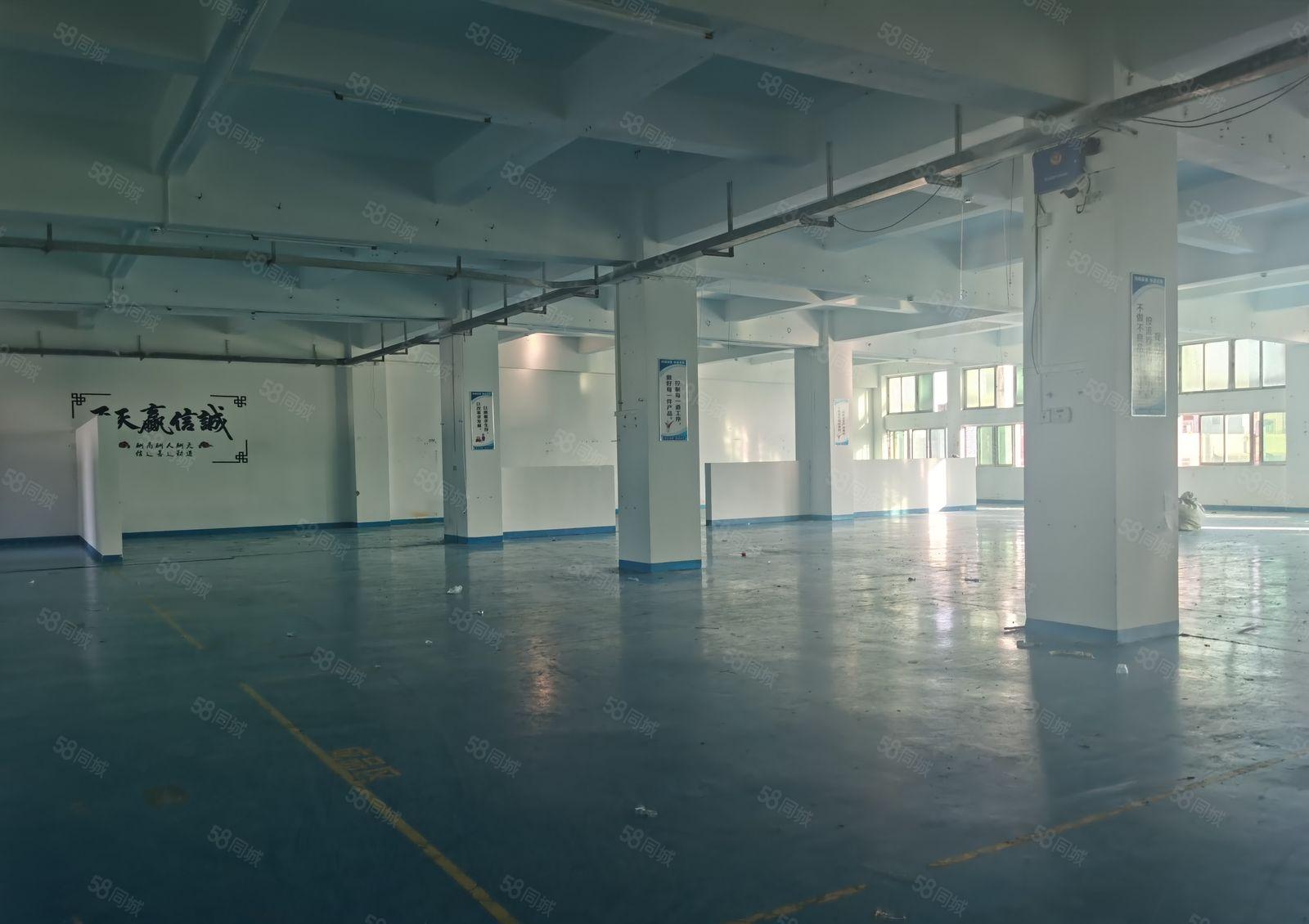 厂房出租虎门龙眼新出楼带办公室装修1800