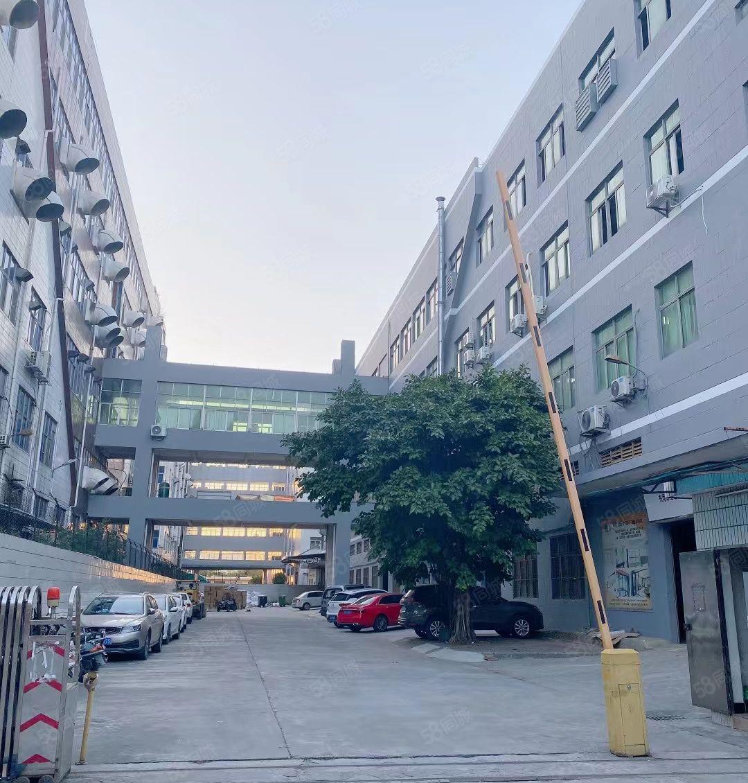 龙眼工业园区新出一三整层6米高带消防喷淋