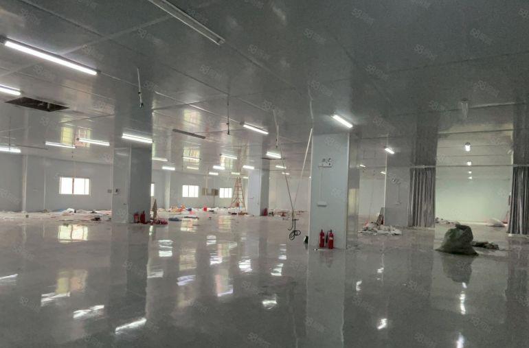 虎门镇怀德新出带豪华无尘车间厂房1600平方