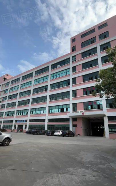 虎门一楼2200平实际面积厂房出租，高度6.5米！