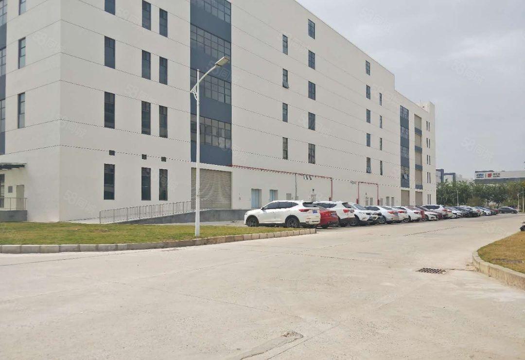 虎门镇原房东4万平方，宿舍15000平带现成装修高端电子厂房