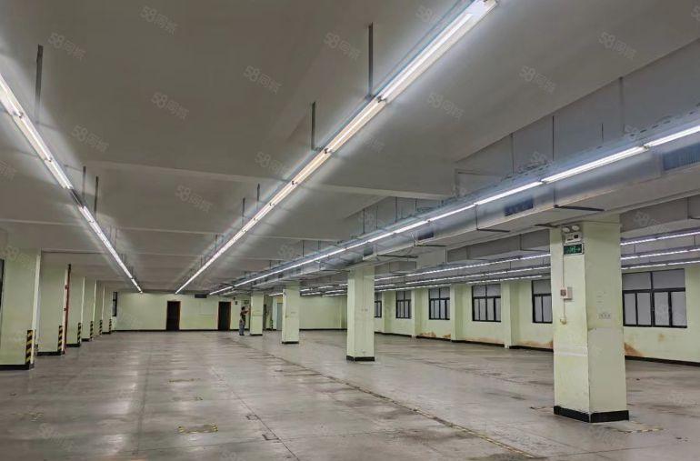 虎门金洲二区附近5000平精装修独院无公摊厂房低价出租