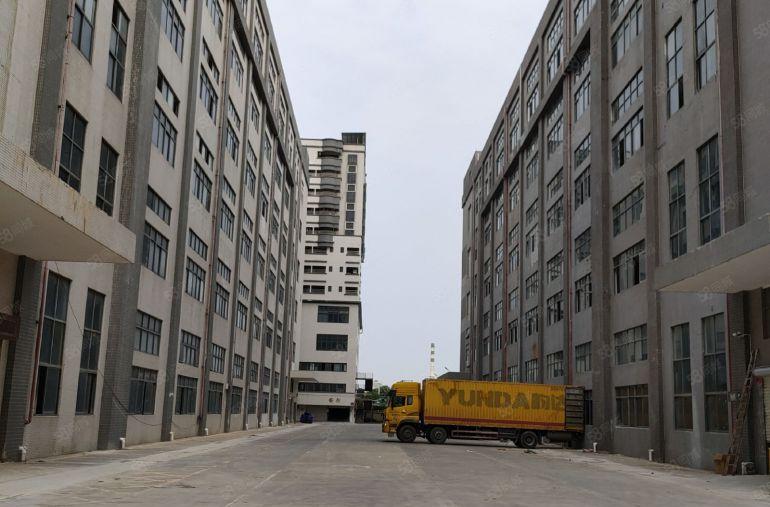 虎门龙眼原房东3000方一楼厂房出租实际面积出租到顶6米