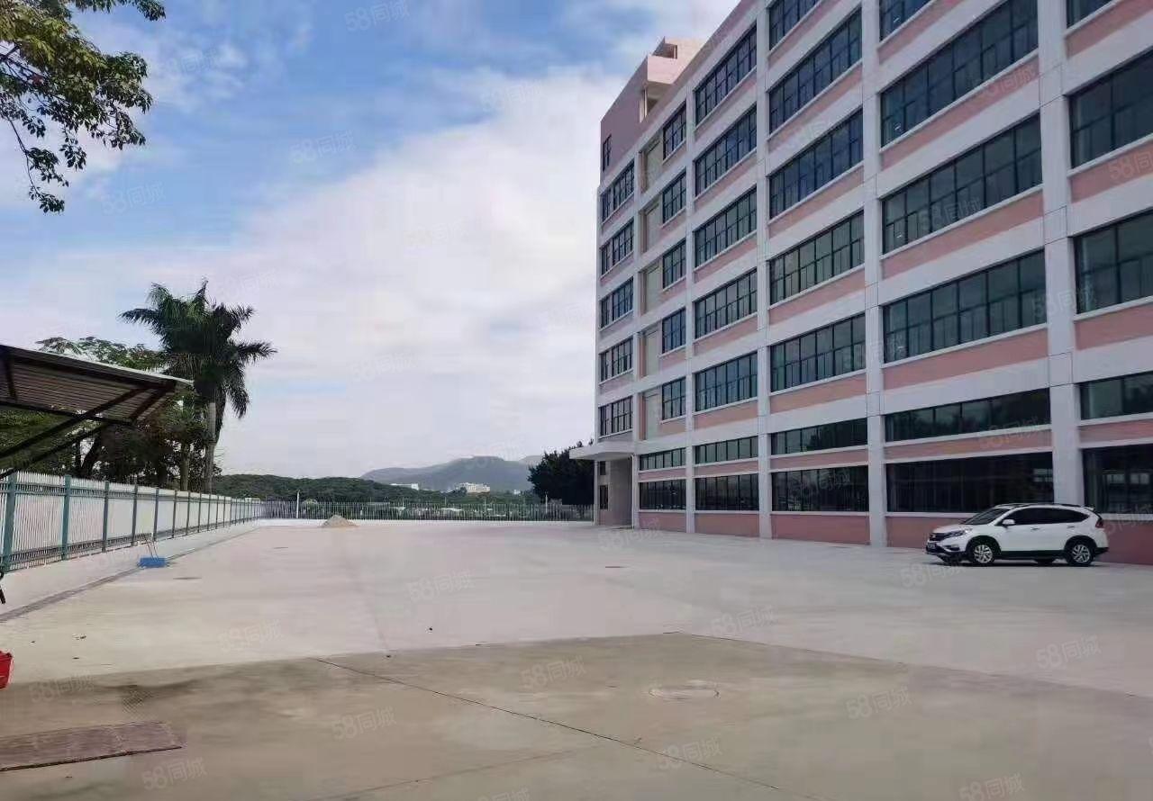 东风社区本地房东厂房出租，大小面积可以分