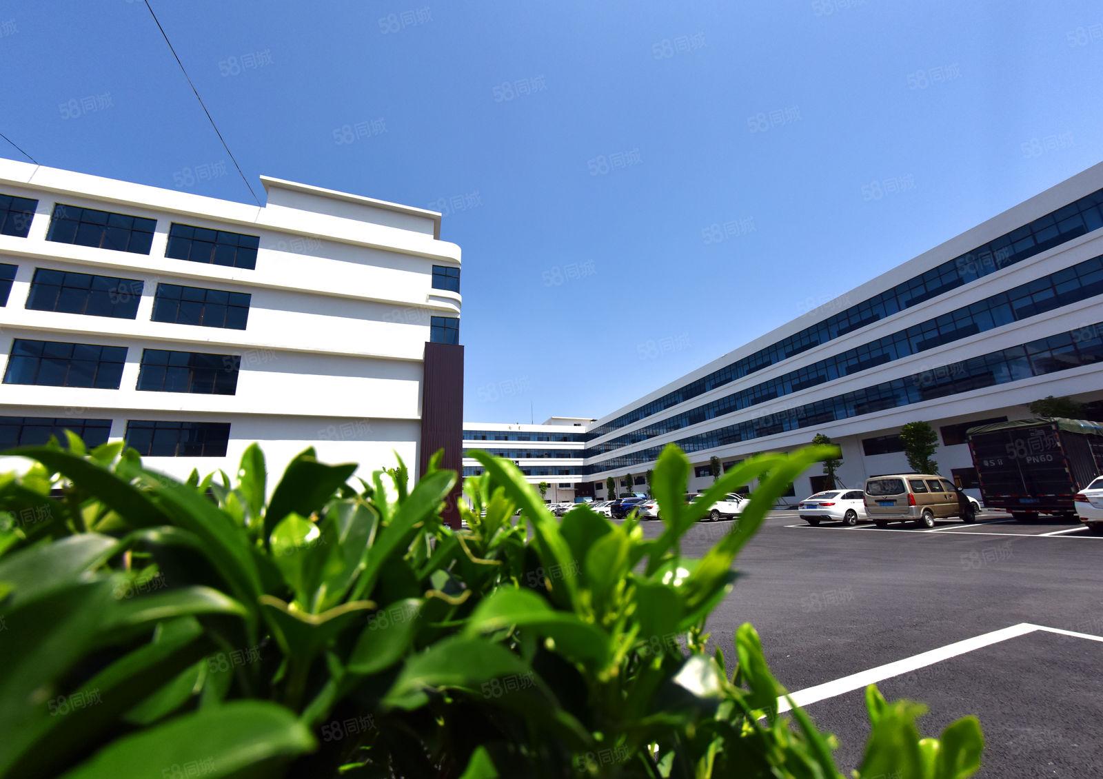 按需分租，租金11元起，厚街镇11万平方产业园开发商直租