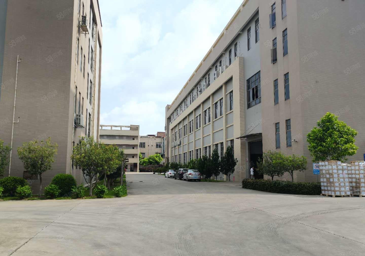 出租虎门赤岗工业园独院，厂房办公楼宿舍总8000平