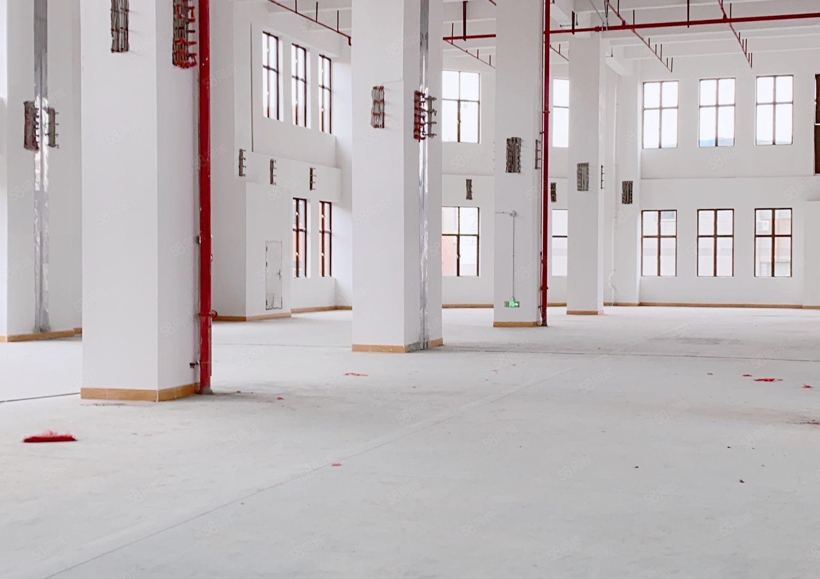 虎门新出原房东独门独院全新重工业厂房滴水10米空地大