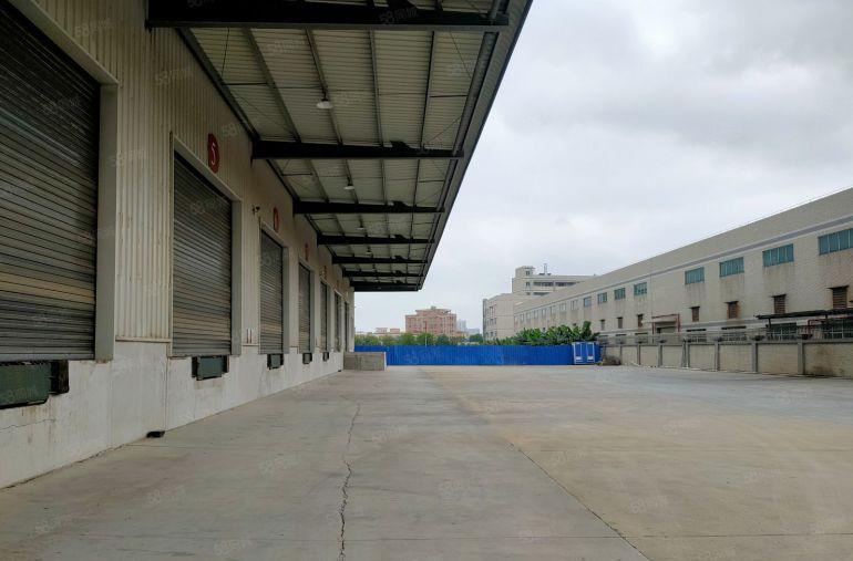 电商仓库，虎门高速口全新钢构仓库出租，带卸货平台，带消防喷淋