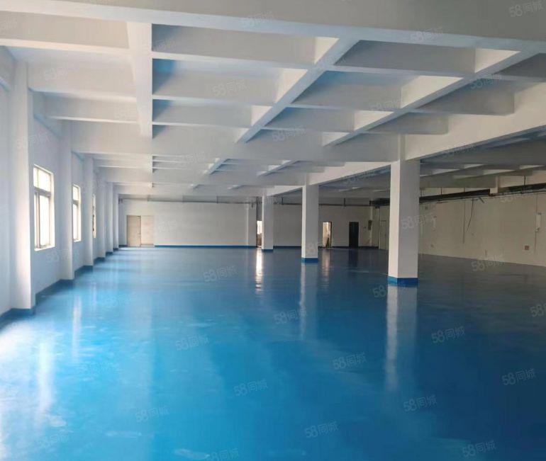 笋！南栅原房东6米高6800平豪华装修1楼3楼厂房出租啦！