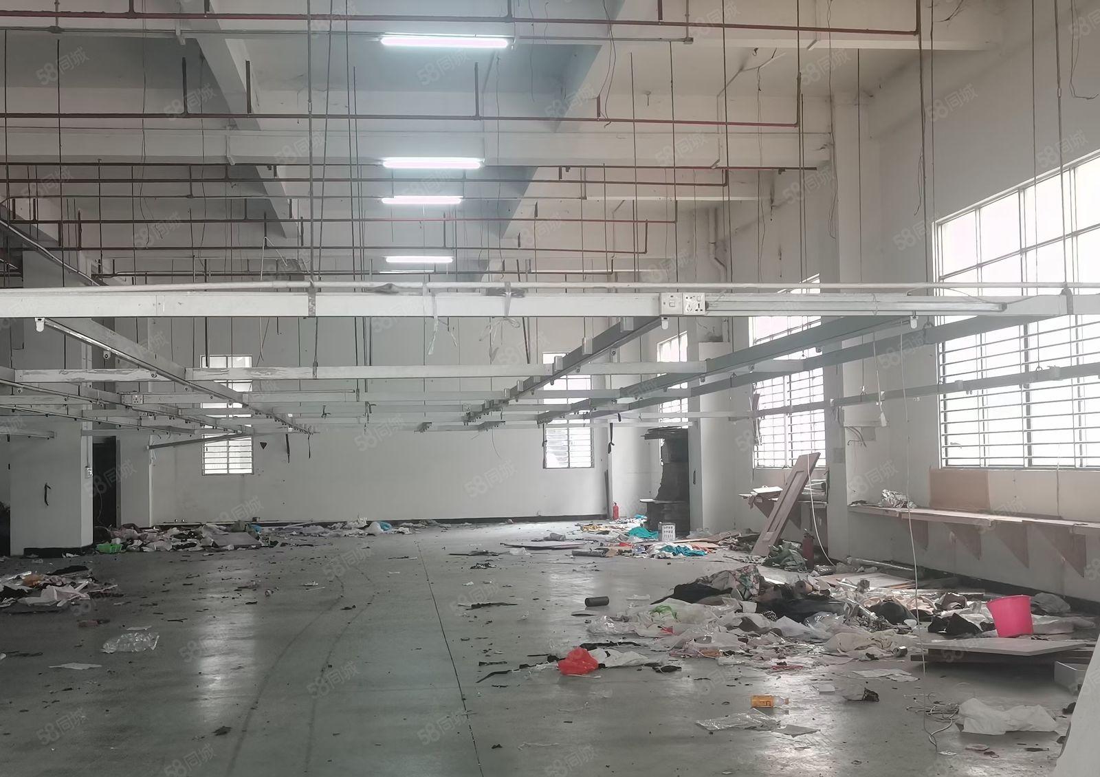 虎门龙眼新出独门独院带消防喷淋一楼1450平可办环评水电齐全