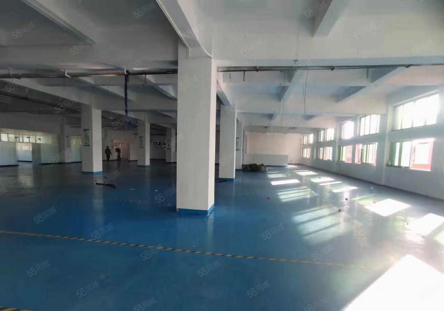 虎门龙眼楼上带装修1800平  园区空地大 可办环评