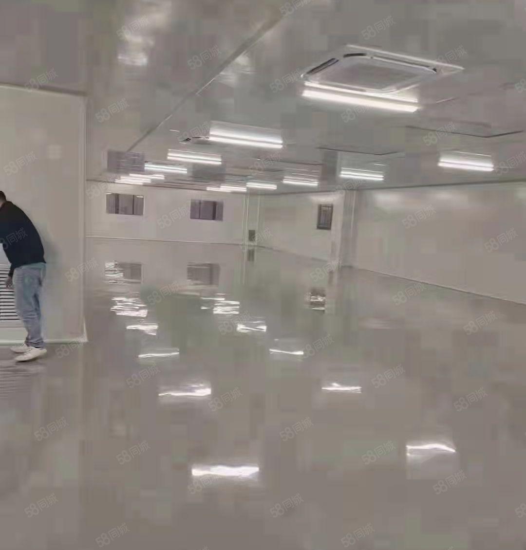 虎门独门独院18元万级无尘车间4500平方厂房出租