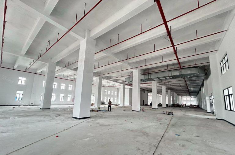 新盘带有红本全新厂房一层6000平有环评消防喷淋大小可分租