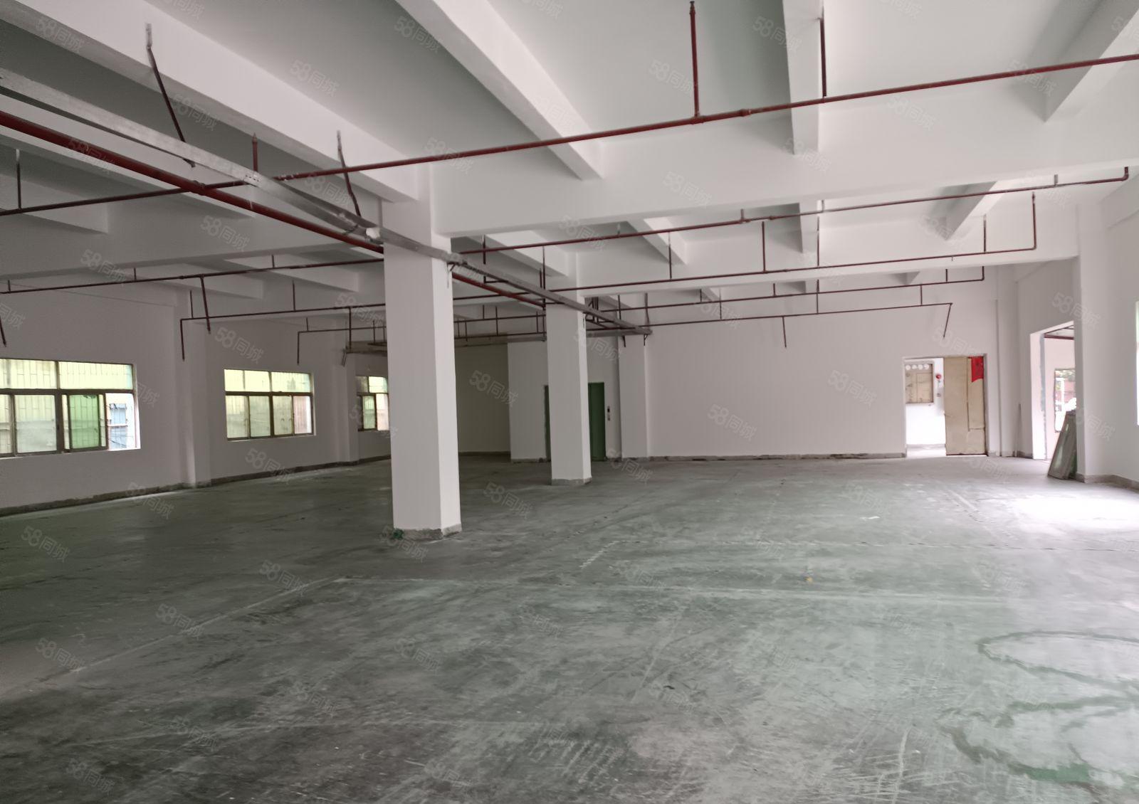 东莞周边原房东个人厂房直租一楼厂房独门独户