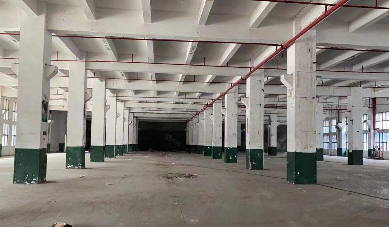 虎门原房东广深高速出口碧桂园附现成精装修1000平方12.8