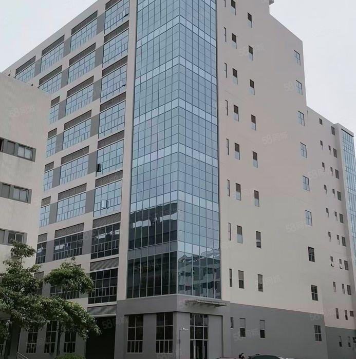 龙眼全新厂房出租一楼6米楼上5米带有卸货平台大小分租