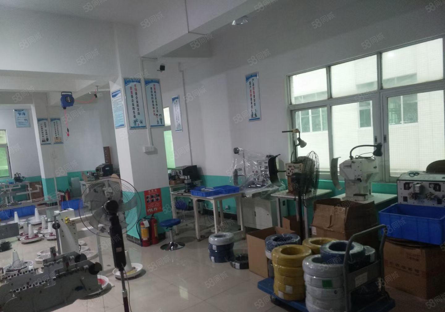 原房东！虎门北栅新空出原房东厂房400平方 现成装修和水电！